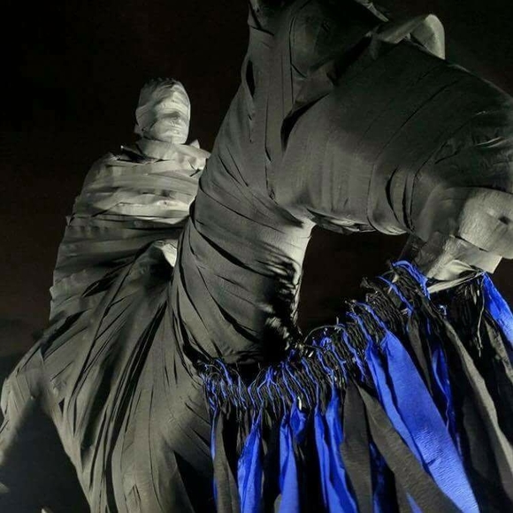 Meet your Posher, David - Picture 1 of 1